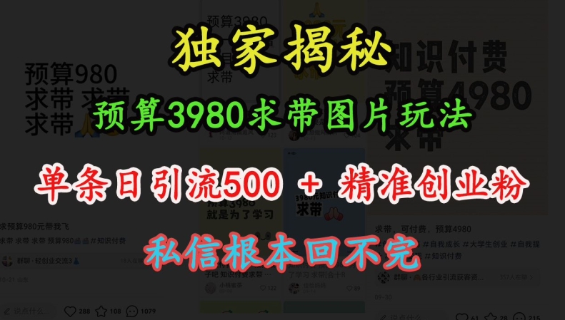 预算3980求带 图片玩法，单条日引流500+精准创业粉，私信根本回不完-599资源坊