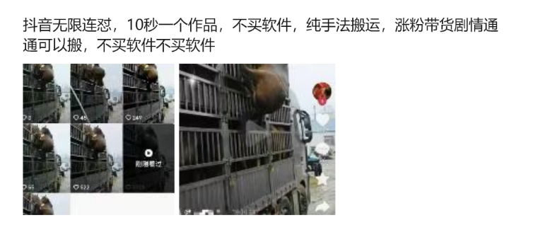 抖音无限连怼，10秒一个作品不买软件，纯手法搬运，涨粉带货剧情通通可以搬-599资源坊