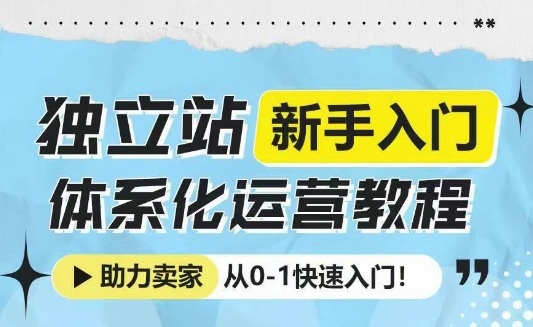 独立站新手入门体系化运营教程，助力独立站卖家从0-1快速入门!-599资源坊