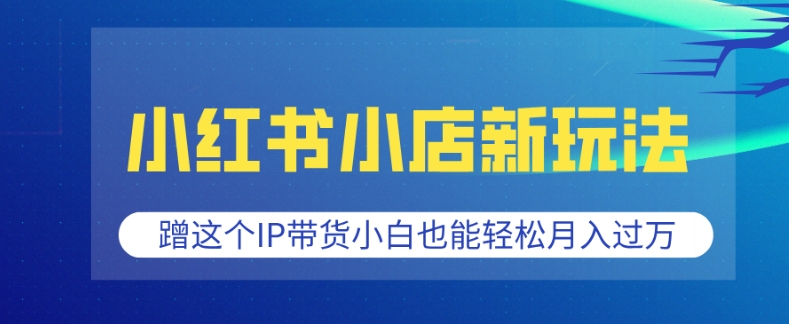 小红书小店新玩法，蹭这个IP带货，小白也能轻松月入过W【揭秘】-599资源坊