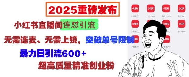 2025重磅发布：小红书直播间连怼引流，无需连麦、无需上镜，突破单号限制，暴力日引流600+-599资源坊