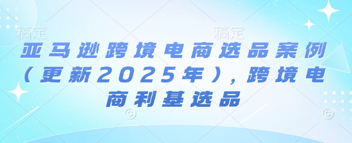 亚马逊跨境电商选品案例(更新2025年)，跨境电商利基选品-599资源坊