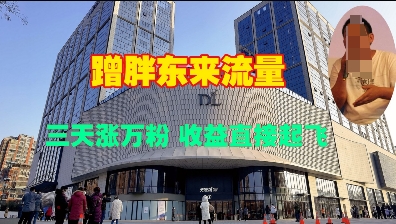 蹭胖东来流量，三天涨万粉，收益直接起飞-599资源坊