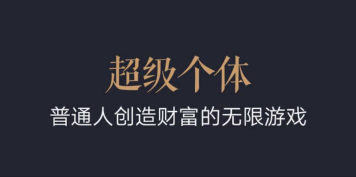 超级个体：2024-2025翻盘指南，普通人创造财富的无限游戏-599资源坊