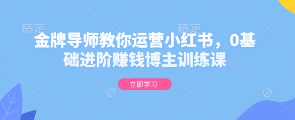 金牌导师教你运营小红书，0基础进阶赚钱博主训练课-599资源坊