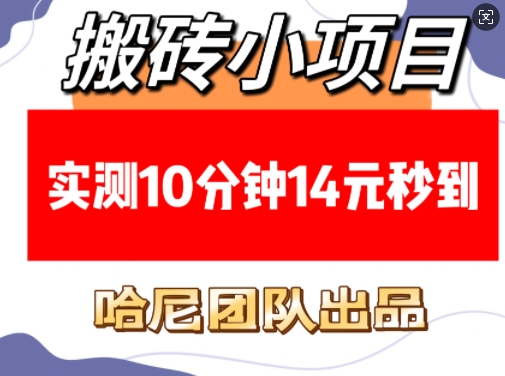 搬砖小项目，实测10分钟14元秒到，每天稳定几张(赠送必看稳定)-599资源坊