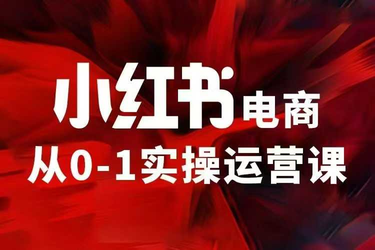 小红书电商运营，97节小红书vip内部课，带你实现小红书赚钱-599资源坊