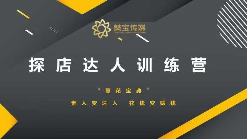 探店达人训练营，素人变达人，花钱变赚钱-599资源坊