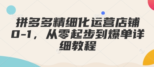 拼多多精细化运营店铺0-1，从零起步到爆单详细教程-599资源坊