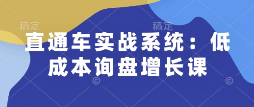 直通车实战系统：低成本询盘增长课，让个人通过技能实现升职加薪，让企业低成本获客，订单源源不断-599资源坊