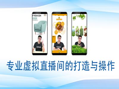 个人虚拟直播间的搭建与操作，专业虚拟直播间的打造与操作-599资源坊