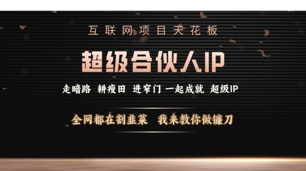 互联网项目天花板，超级合伙人IP，全网都在割韭菜，我来教你做镰刀【仅揭秘】-599资源坊