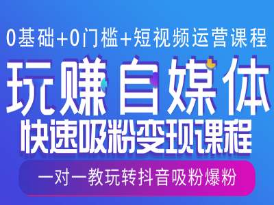 0基础+0门槛+短视频运营课程，玩赚自媒体快速吸粉变现课程，一对一教玩转抖音吸粉爆粉-599资源坊