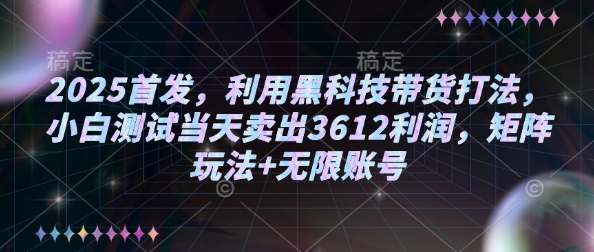 2025首发，利用黑科技带货打法，小白测试当天卖出3612利润，矩阵玩法+无限账号【揭秘】-599资源坊