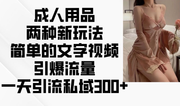 成人用品两种新玩法，简单的文字视频引爆流量，一天引流私域300+-599资源坊