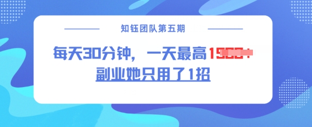 副业她只用了1招，每天30分钟，无脑二创，一天最高1.5k-599资源坊