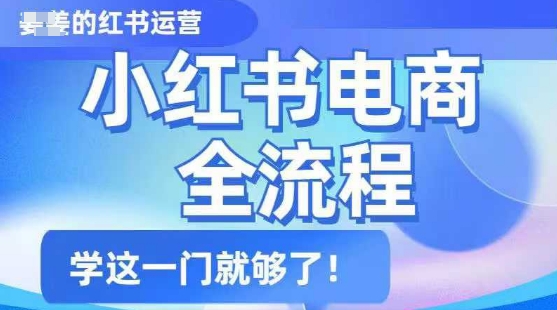 小红书电商全流程，精简易懂，从入门到精通，学这一门就够了-599资源坊