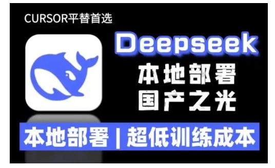 2025年deepseek R1 大型模型本地安装部署(文件+教程)本地部署，超低训练成本-599资源坊