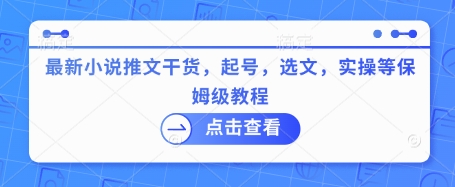 最新小说推文干货，起号，选文，实操等保姆级教程-599资源坊