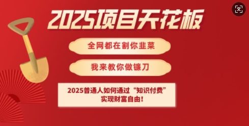 2025项目天花板普通人如何通过知识付费，实现财F自由【揭秘】-599资源坊