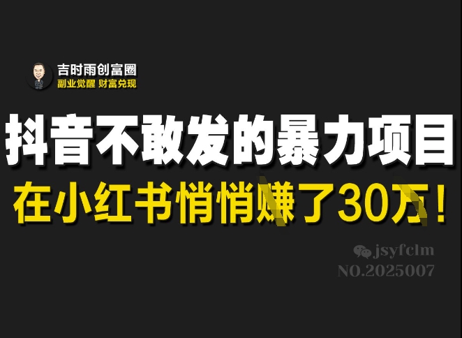 抖音不敢发的暴利项目，在小红书悄悄挣了30W-599资源坊