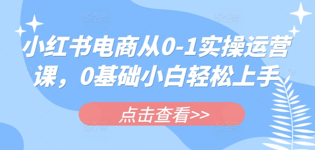 小红书电商从0-1实操运营课，0基础小白轻松上手-599资源坊