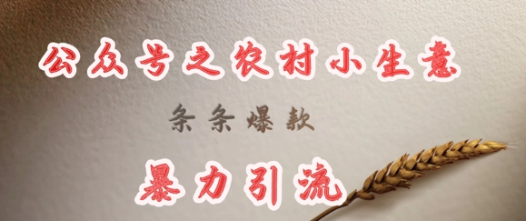 deepseek写农村小项目，条条爆款，暴力引流-599资源坊