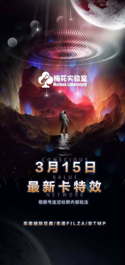 梅花实验室视频号连怼玩法-3月15日最新卡特效技术(无需越狱、巨魔、tmp)-599资源坊
