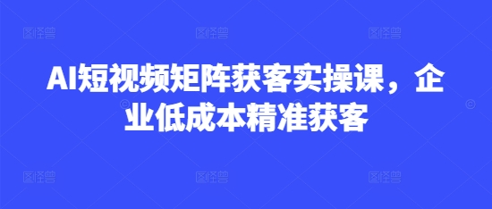AI短视频矩阵获客实操课，企业低成本精准获客-599资源坊