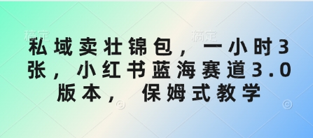 私域卖壮锦包，一小时3张，小红书蓝海赛道3.0版本， 保姆式教学-599资源坊