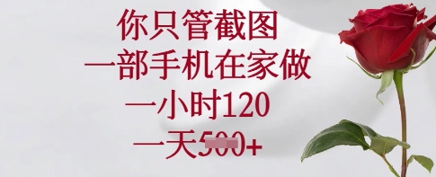你只管截图，一部手机在家做，一小时120.一天5张【揭秘】-599资源坊