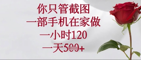 你只管截图，一部手机在家操作，一小时120.一天5张【揭秘】-599资源坊
