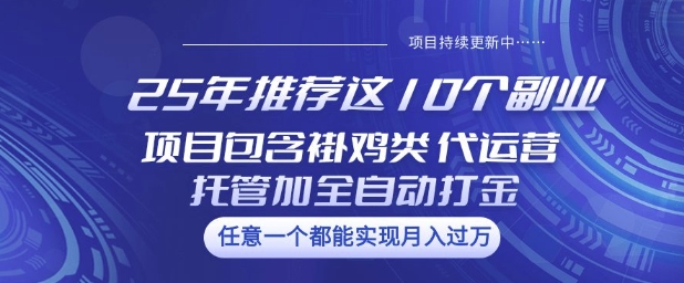 25年推荐这10个副业项目包含褂鸡类、代运营托管类、全自动打金类【揭秘】-599资源坊