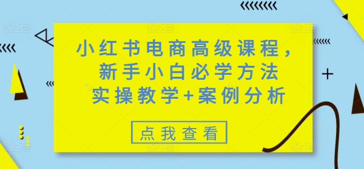 小红书电商高级课程，新手小白必学方法，实操教学+案例分析-599资源坊