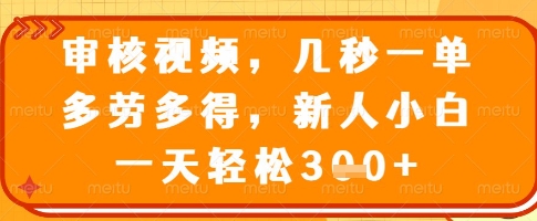 审核视频，几秒一单，多劳多得，新人小白一天轻松3张【揭秘】-599资源坊