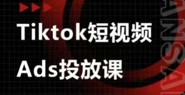 Ads视频投放课，tiktok短视频广告投放课-599资源坊