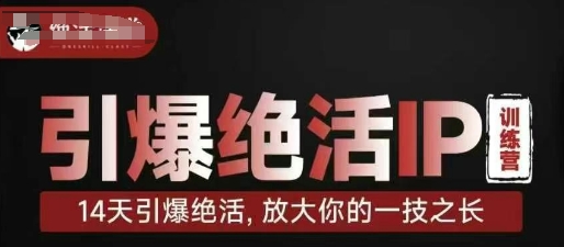 引爆绝活IP训练营，14天引爆绝活，放大你的一技之长-599资源坊
