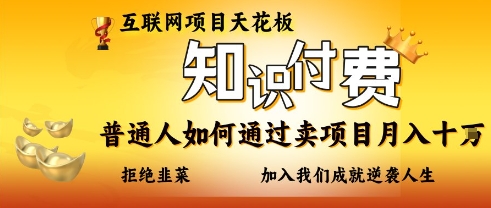 互联网项目天花板，知付付费项目，普通人如何通过卖项目月入十个，拒绝韭菜【揭秘】-599资源坊