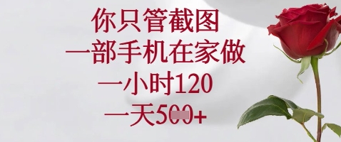 你只管截图，一部手机在家做，苹果安卓都可以，一小时120，一天5张+【揭秘】-599资源坊