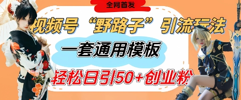 视频号“野路子”玩法，评论区疯狂截流，一套模板单日单号引流50+创业粉-599资源坊