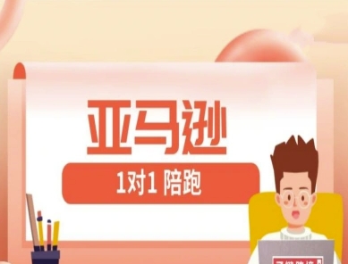 亚马逊1对1陪跑课(FBA/FBM精铺)跨境亚马逊教程-599资源坊