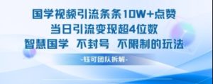 国学视频引流条条10W+点赞当日引流变现超4位数-599资源坊