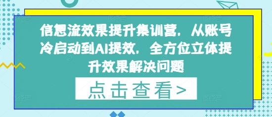 信息流效果提升集训营，从账号冷启动到AI提效，全方位立体提升效果解决问题-599资源坊