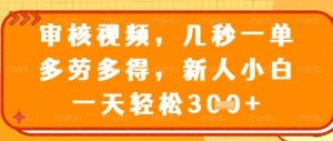 视频审核员,几秒一单,不限时间,不限地点,多做多得,新人小白一天轻松几张+【揭秘】-599资源坊