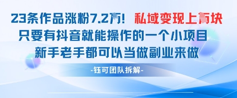 抖音私域项目23条作品涨粉7.2W，私域变现1W-599资源坊
