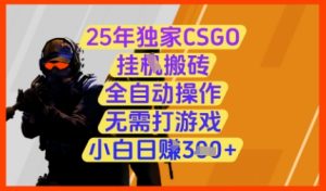 25年独家CSGO挂G搬砖,全自动操作,无需打游戏,小白日入3张+【揭秘】-599资源坊