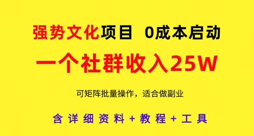 强势文化项目，一个社群收入25个W，0成本启动，可矩阵批量操作，原创详细实操教程-599资源坊
