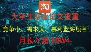 大学生毕业论文查重,暴利蓝海项目,月收入过1W+-599资源坊