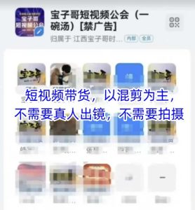 宝子哥头部团队短视频带货,以混剪为主,不需要真人出镜,不需要拍摄-599资源坊