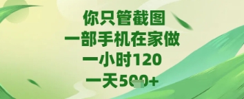 你只管截图，一部手机在家做，苹果安卓都可以，一天5张+【揭秘】-599资源坊